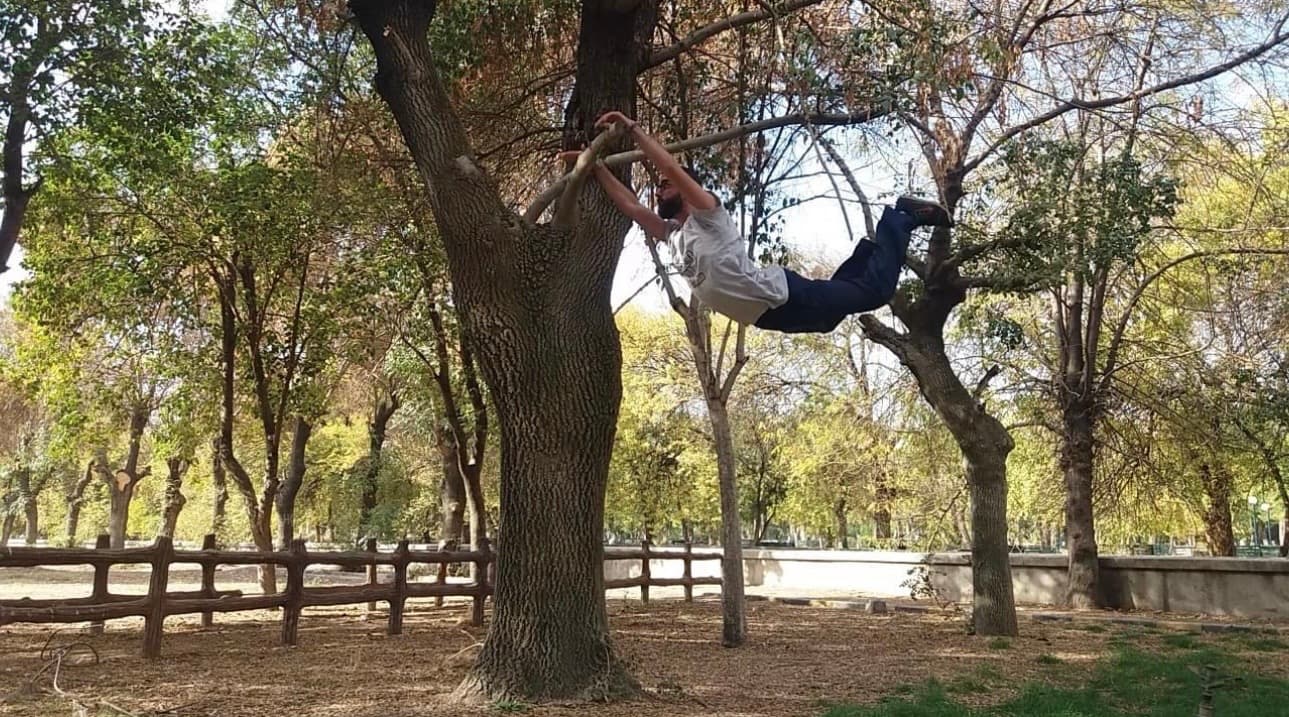Monkey swings